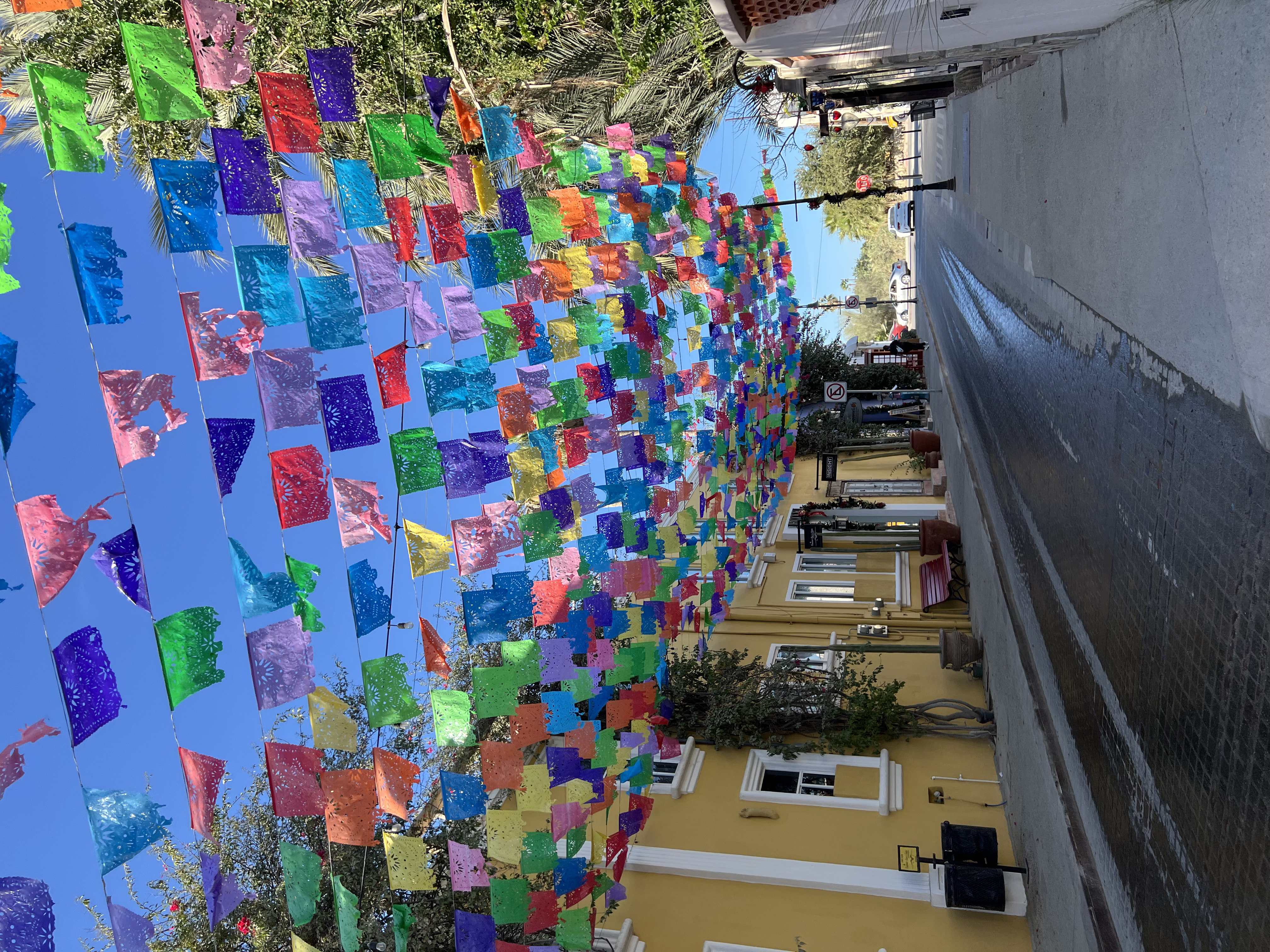 ./2024/13 - Cabo/IMG_4569.jpg